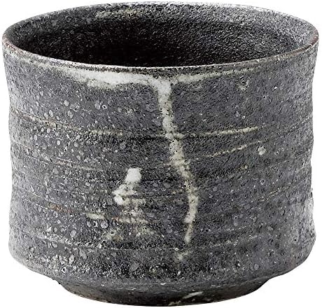 Shigaraki Ware MR-3-3004 Hechimon Sake Cup, drvena kutija, srebrni kristal