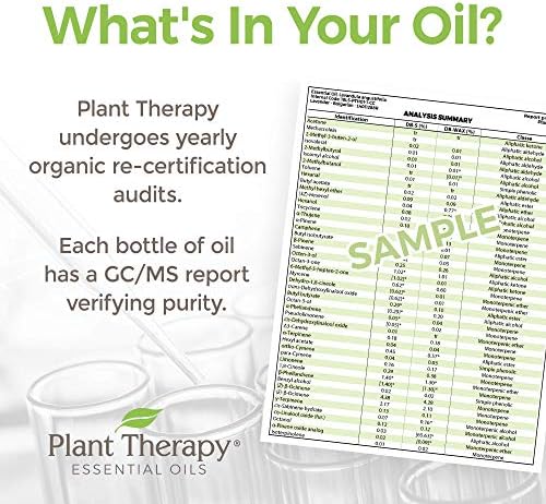 Biljna terapija organska lavanda Fine 30 ml čista USDA certificirana, nerazrijeđena, terapeutski stupanj