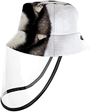Zaštitni šešir za odrasle sa štitom za lice, ribarska šešir protiv sunca, a životinja Maine Coon