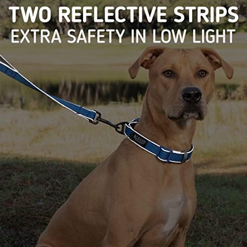 Podesivi reflektivni ogrnik za pse, kopča s brzim oslobađanjem i reflektirajući cjevovodi i niti za male, srednje i velike