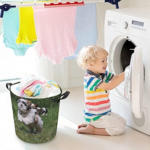Foduoduo košarica za pranje psa Photo u travnjaku rublja s ručkama s ručkama preklopljive torbe za odlaganje prljave odjeće