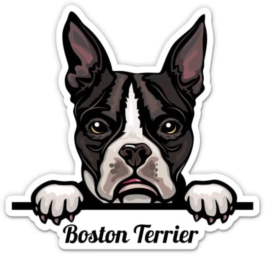 Boston terijer naljepnica za pse - naljepnica od 3 laptop - vodootporan vinil za automobil, telefon, boca s vodom - naljepnica