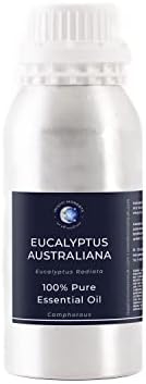Mistični trenuci | Eucalyptus australiana esencijalno ulje 1kg - čisto i prirodno ulje za difuzore, aromaterapiju i masažu