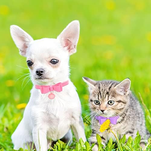 Chihuahua ovratnik, ovratnik za pse s Bowtie za male pse, dodatni mali ovratnik za pse s zvonom, 2 pakiranja Xsmall Dog Collar