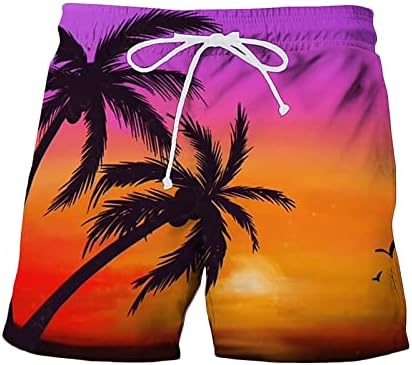 Šehera muške proljetne i ljetne ležerne kratke hlače tiskane panel Sportske plaže hlače s džepovima kratke hlače