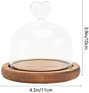 Prozirno staklo prozirno staklo globus zaslon kupola zvono staklenka prozirno staklo kupola Mini tanjur za desert stalak